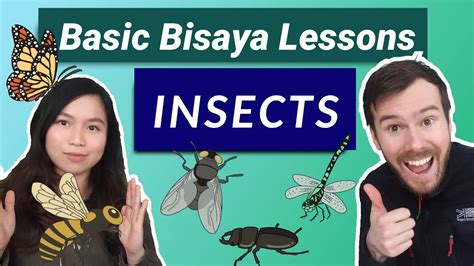 cockroach in bisaya|Filipino Bisaya Lessons 101: Bisaya Insects .